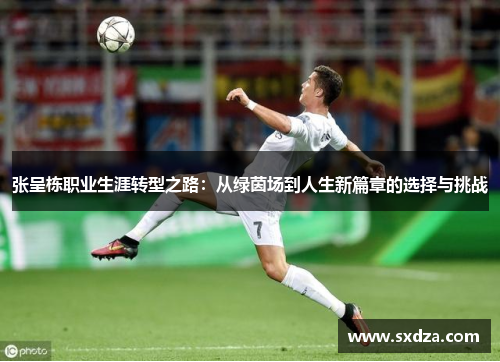 张呈栋职业生涯转型之路：从绿茵场到人生新篇章的选择与挑战